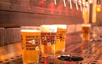 Les Berthom Lyon 1er #18