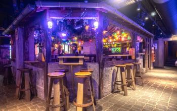 Les Berthom Metz #11 Les Berthom Metz #11