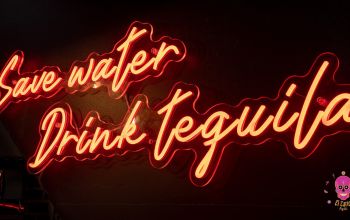 El Cartel Pigalle #13