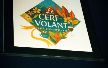 Le Cerf-Volant #12