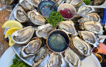 Les Blancs Becs #20 Les Blancs Becs #20