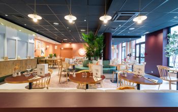 Albert's Place Lille #1 Albert's Place Lille #1