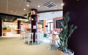 Albert's Place Lille #2 Albert's Place Lille #2