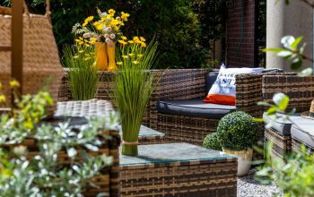 Albert's Place Lille #8 Albert's Place Lille #8