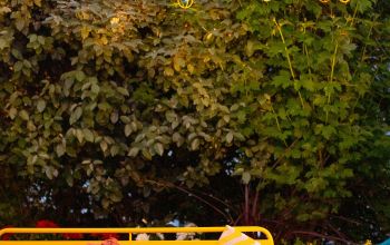 Jo&Joe Paris Nation #16