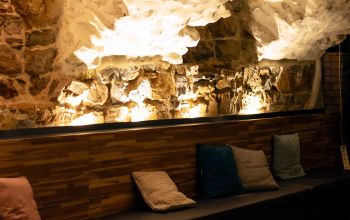 Les Souris Dansent Lyon #14