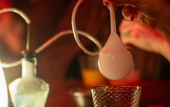 Potions & Co. #17