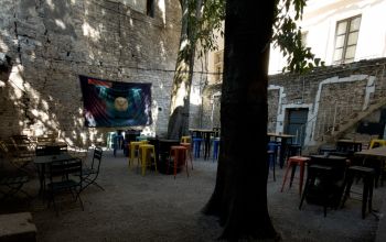 Levrette Café Nimes #1
