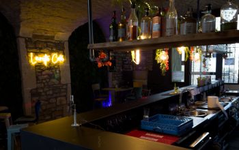 Levrette Café Nimes #8