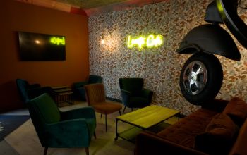 Levrette Café Nimes #9