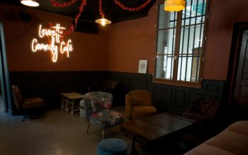 Levrette Café Nimes #2